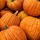 boring pumpkin