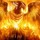 fenix_rises
