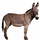 donkey