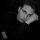 Адриан Николов