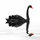 Swan