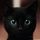 Mr.  Cat