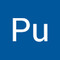 Pu Tin Cho