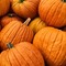 boring pumpkin