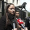 Профил на cingi cingov