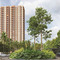 Birla Estates