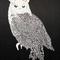 nightowl