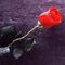 red_rose