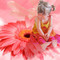 lady_flower avatar