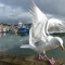 ai_vasilis