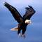 Профил на eagle57