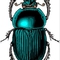 bugmenot