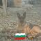 Профил на Vesko Gurkov