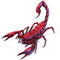 red_scorpion avatar