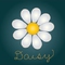 daisynka