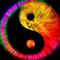 YinYang