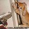 Профил на poortiger