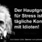 Профил на Ein Stein