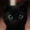 Mr.  Cat