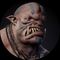 Ogre