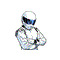 The Stig
