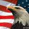 АM Eagle