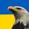 Профил на Слава на Украйна Слави е капут