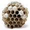 Минуса