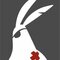 brave rabbit